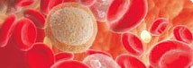 Foundation for Blood Ailments