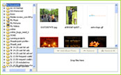 Matrimonials 2.0 � Empowering our Users